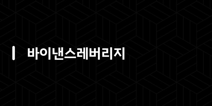 바이낸스레버리지