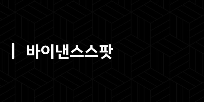 바이낸스스팟