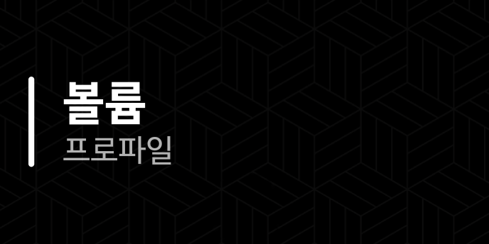 볼륨 프로파일