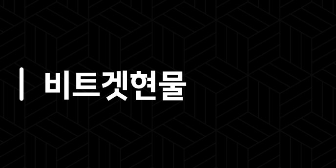 비트겟현물