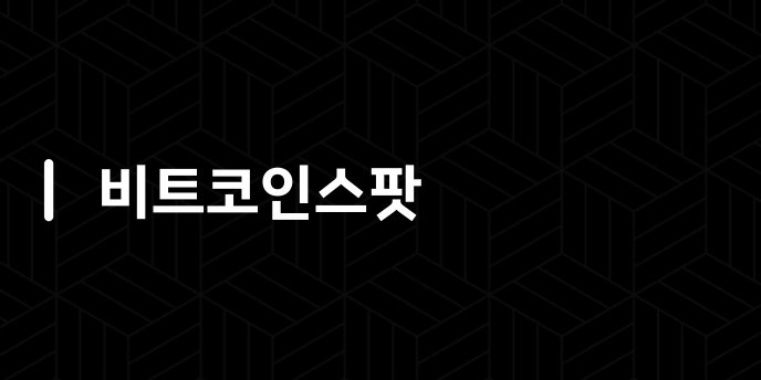 비트코인스팟