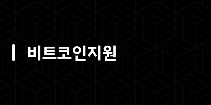 비트코인지원
