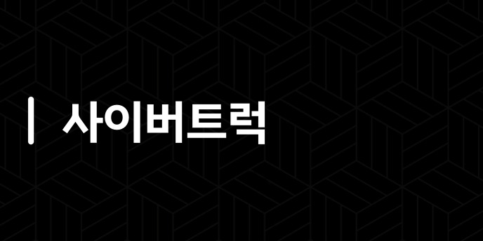 사이버트럭
