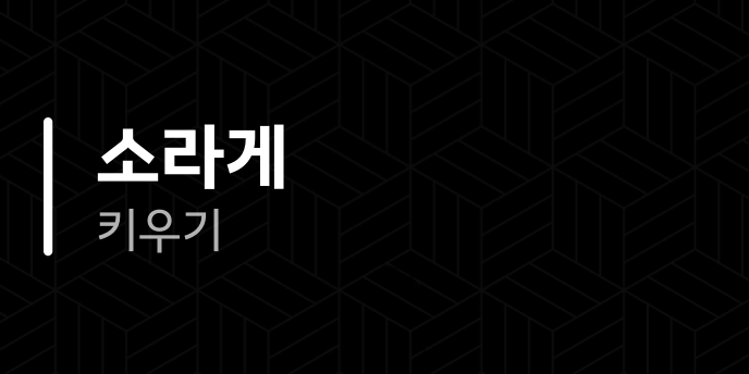 소라게 키우기