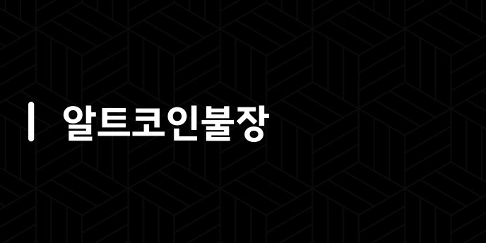 알트코인불장