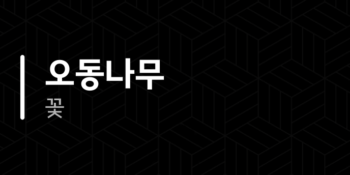 오동나무 꽃