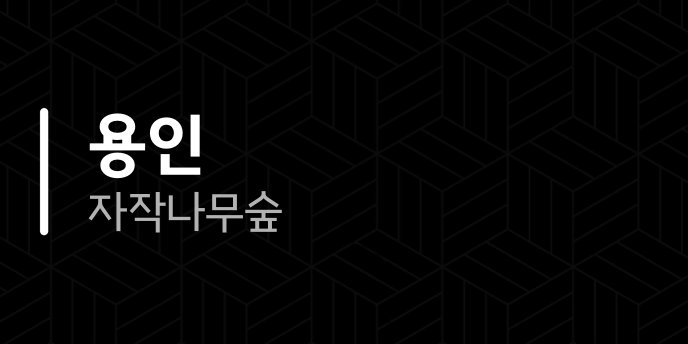 용인 자작나무숲