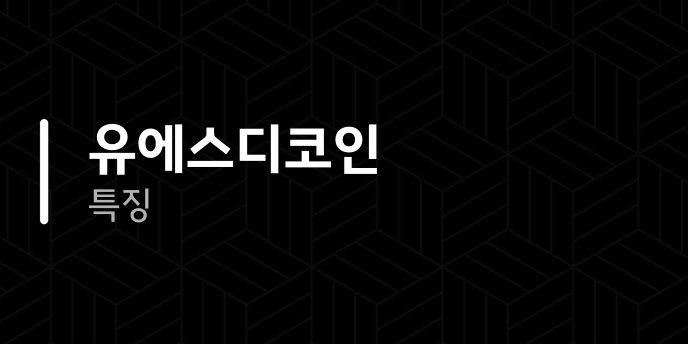 유에스디코인 특징