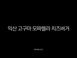 익산 고구마 모짜렐라 치즈버거 후기, 맥도날드 신메뉴 가격과 칼로리 총정리 23