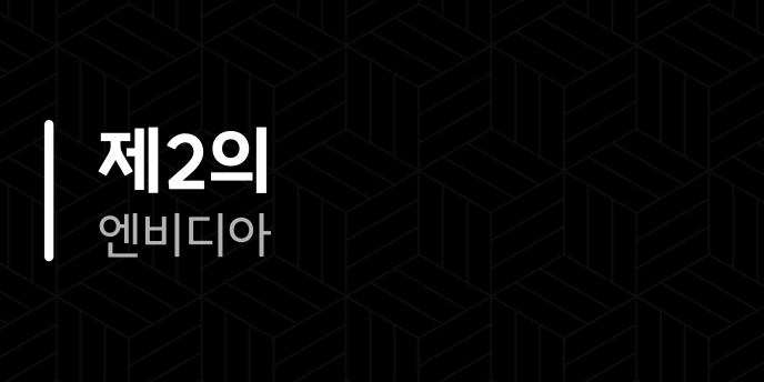 제2의 엔비디아