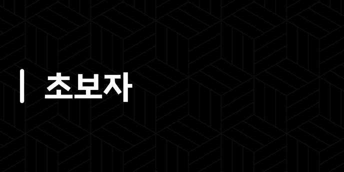 초보자