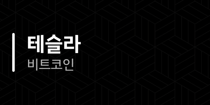 테슬라 비트코인