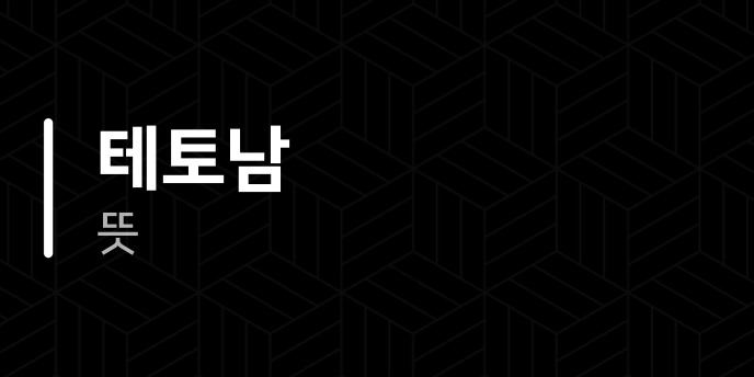 테토남 뜻