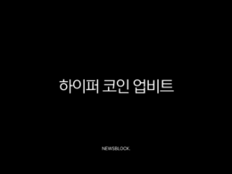 하이퍼 코인 업비트 상장 가능성 심층 분석 (전망, 시세, 호재) 33