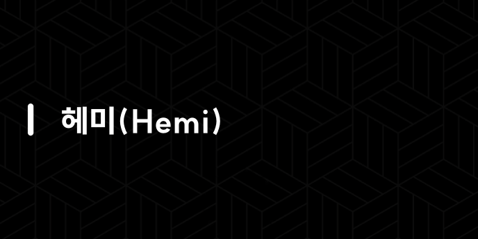 헤미(Hemi)
