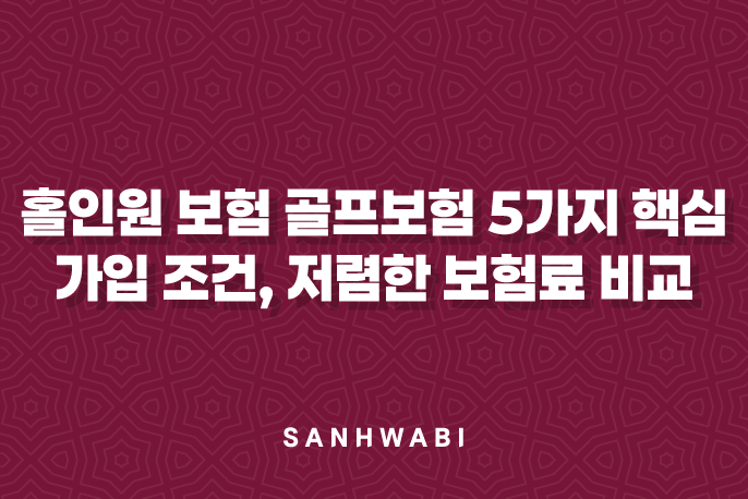 홀인원 보험 골프보험 5가지 핵심